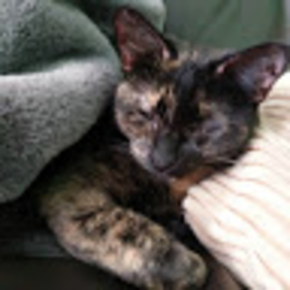 Meet your Posher, Amber - Picture 1 of 1